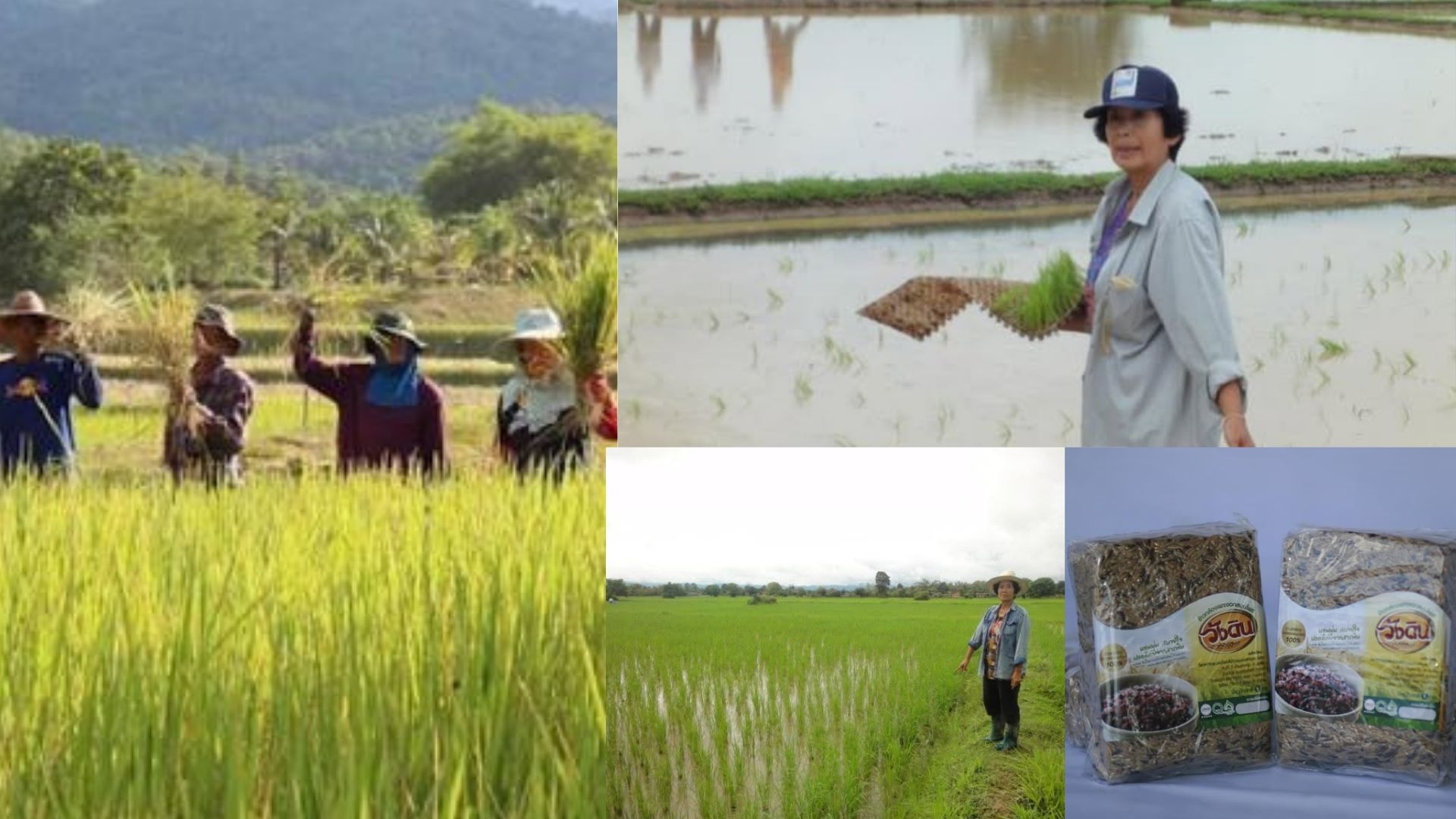 ภาพกิจกรรม 1
